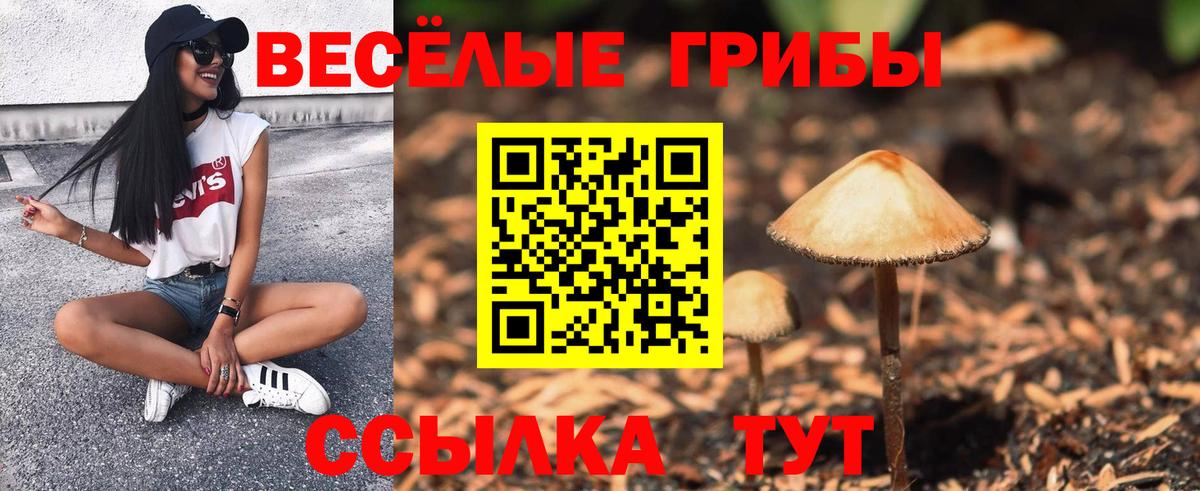 Омск  Псилоцибиновые грибы Psilocybine cubensis  Вход с VPN 