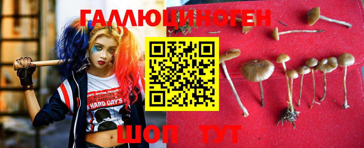 Галлюциногенные грибы ЛСД  Омск 